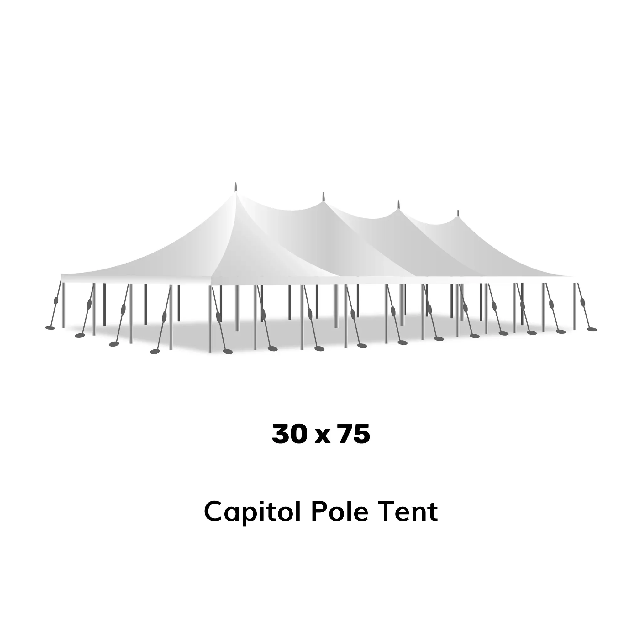 30x75 Pole Tent