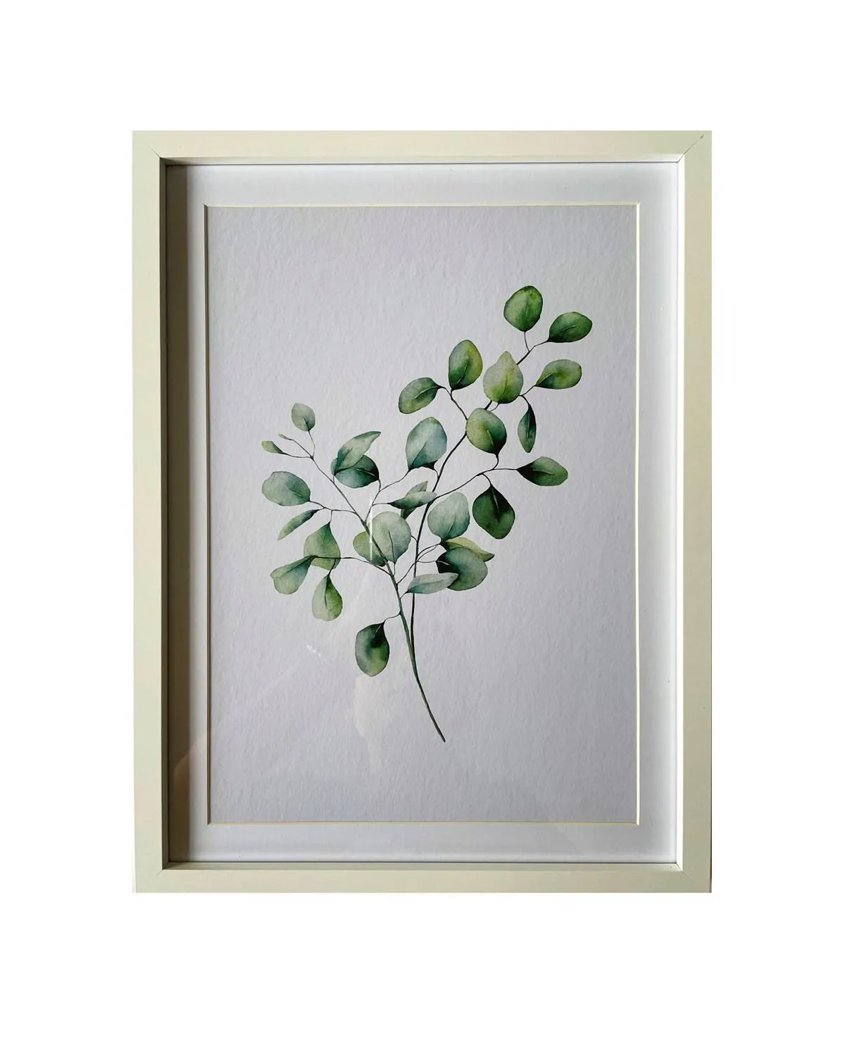 Eucalyptus Frame