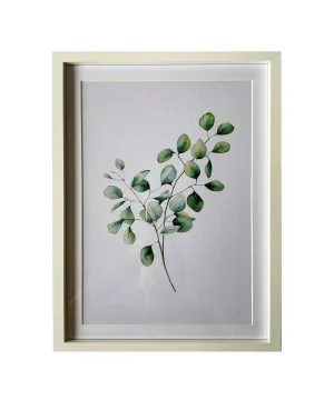 Eucalyptus Frame