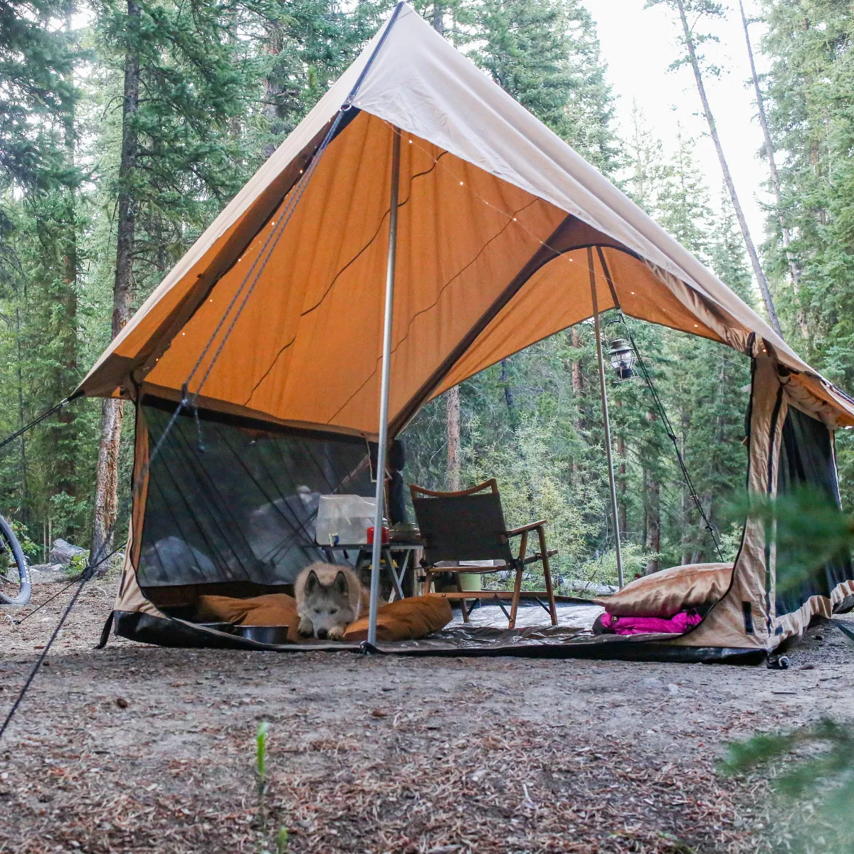 Rover Scout Tent