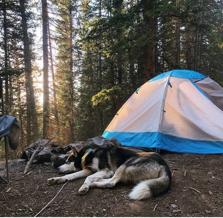 YOSEMITE 2 Person Backpacking Tent w/Footprint