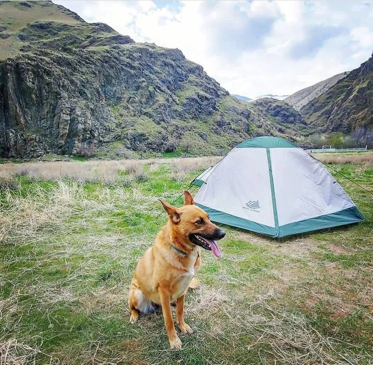 YOSEMITE 2 Person Backpacking Tent w/Footprint